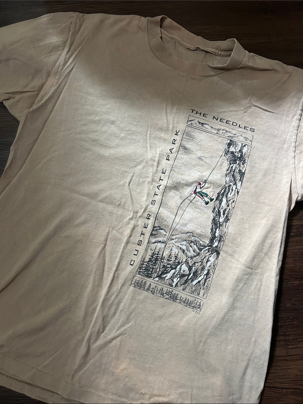 Vintage Custer Park Rock Climbing Needles Tshirt